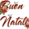 Giornata tematica del Natale